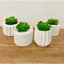 Kit 4 Unidades Vaso decorativo de gesso texturizado para Suculentas, Cactus e Plantas